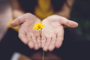 Hope flower